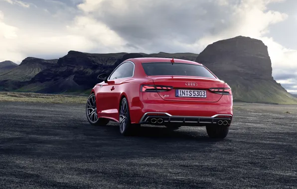 Audi, TDI, вид сзади, Coupe, Audi S5, 2020