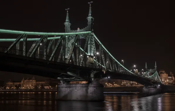 Ночь, река, Венгрия, Будапешт, Дунай, Мост Свободы