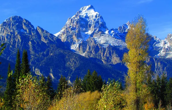 Осень, небо, деревья, горы, Вайоминг, США, grand teton national park
