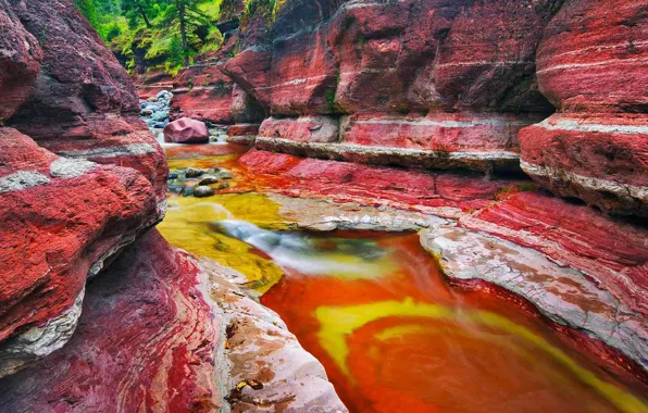 Картинка природа, ручей, скалы, Канада, Альберта, Alberta, Canada, Red Rock Canyon