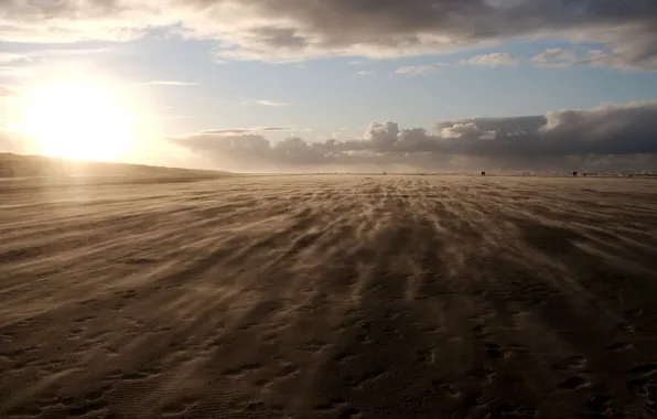Nature, sunset, could