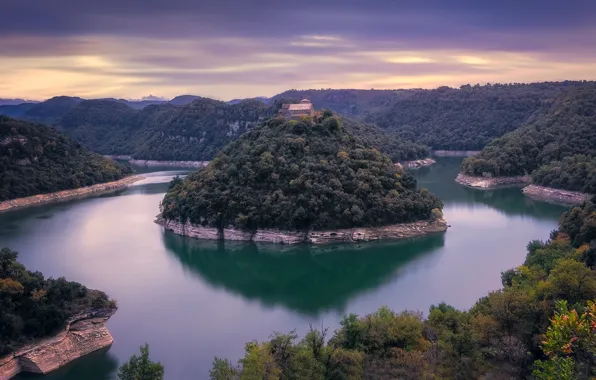 Картинка лес, остров, водоем