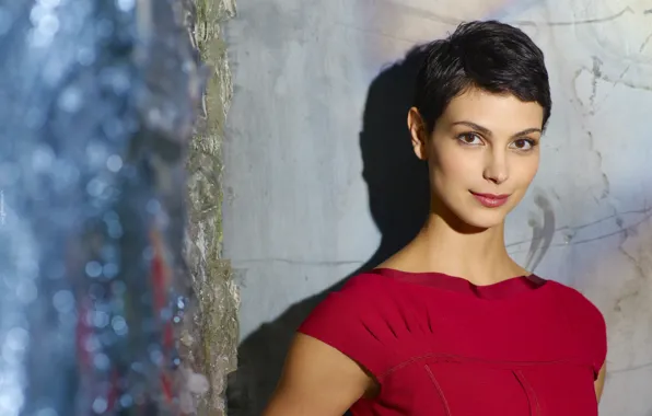 Взгляд, поза, Morena Baccarin, макияж, актриса, look, pose, actress