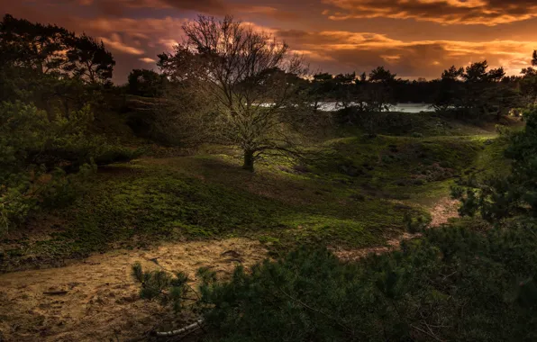 Пейзаж, закат, природа