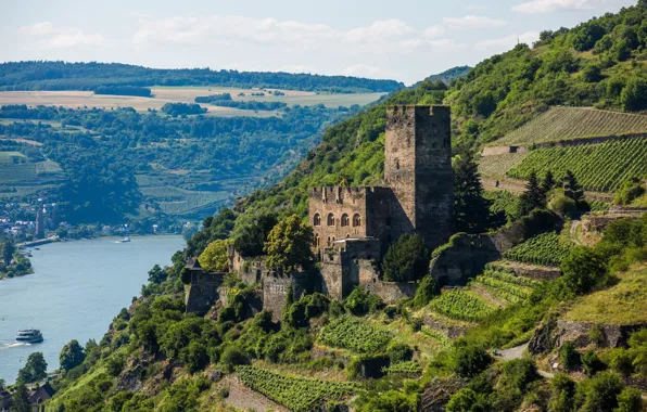Река, замок, Германия, Рейн, Гутенфельс, Burg Gutenfels