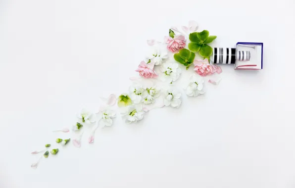 Цветы, фон, букет, рамка, Flowers, лак, bundle