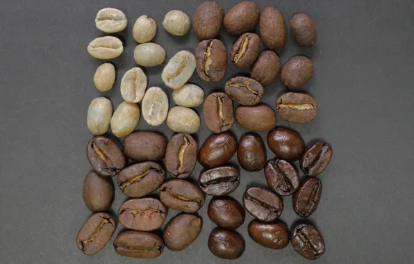 Texture, beans, coffee, natural, dry, roasted, half roasted