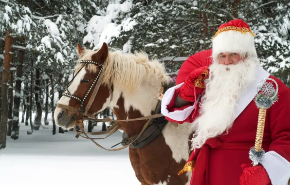 Картинка зима, праздник, лошадь, новый год, дед мороз, великий устюг