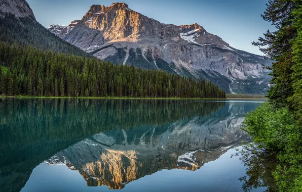 Картинка лес, горы, озеро, отражение, Канада, Canada, British Columbia, Британская Колумбия