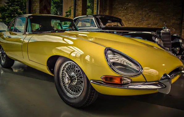 Жёлтый, спорткар, Jaguar E-Type, автосалон