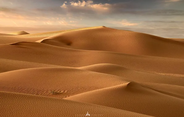 Картинка песок, пейзаж, пустыня, дюны