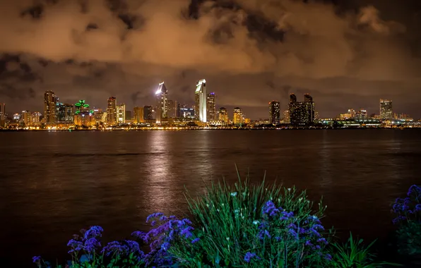 Картинка ночь, город, San Diego
