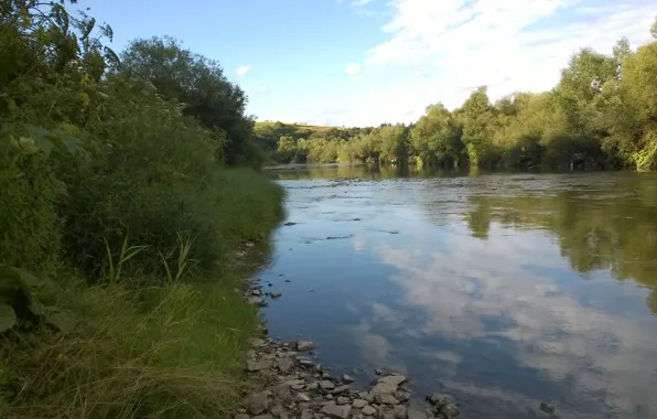 Река, Лес, Карпаты