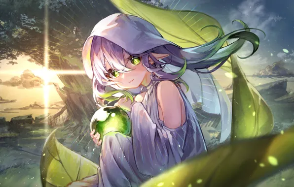 Листья, девушка, солнце, природа, эльф, шар, Genshin Impact, Nahida