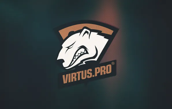 Gamer, team, cs:go, virtus.pro, pro, pro team, pro gamer