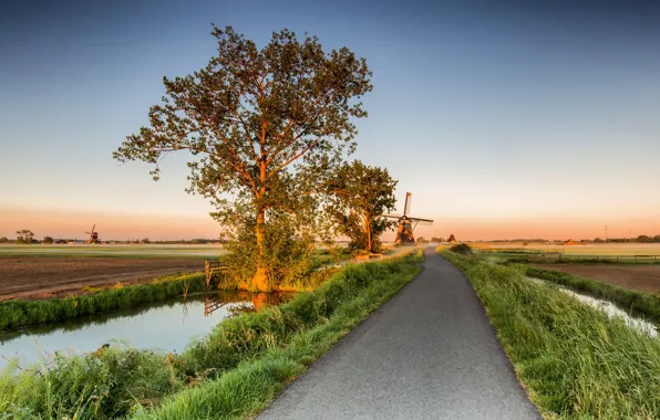 Дорога, деревья, мельницы, Нидерланды, Alblasserwaard