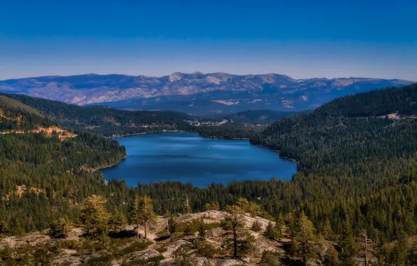 Картинка лес, горы, Калифорния, озеро Доннер