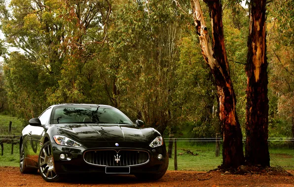 Природа, Maserati, Granturismo