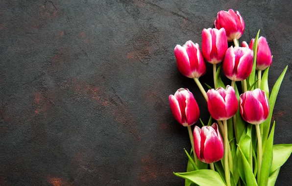 Картинка цветы, букет, тюльпаны, розовые, pink, flowers, tulips