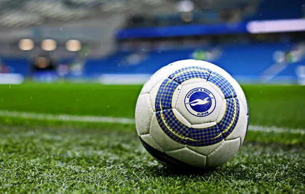 Wallpaper, sport, logo, stadium, football, Brighton & Hove Albion