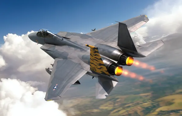Истребитель, США, F-15 Eagle, USAF, Боевой самолёт