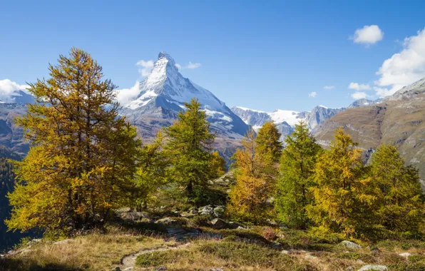 Осень, деревья, горы, Швейцария, Switzerland, Canton of Valais, Findeln