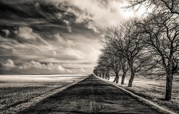 Картинка дорога, поле, деревья, Infinity, бесконечность