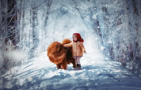 Картинка зима, снег, ребенок, собака, девочка, платок, чау-чау, пальтишко