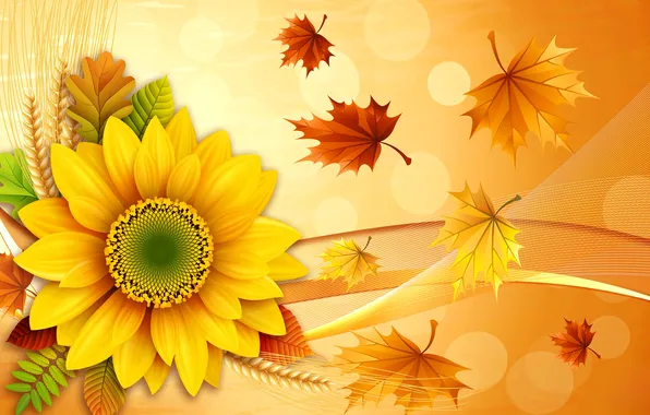 Картинка осень, цветок, листья, коллаж, подсолнух, колосья