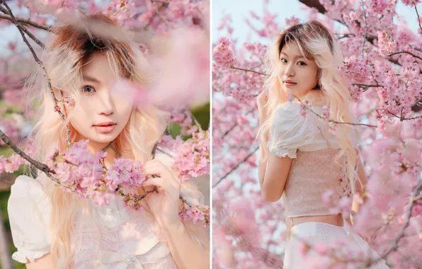 Beautiful, Asian, Model, Tree, Flowers, Smile, Blonde, Woman
