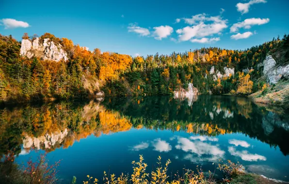 Clouds, Sky, Wood, Landscape, Water, Autumn, Sea, Rocks