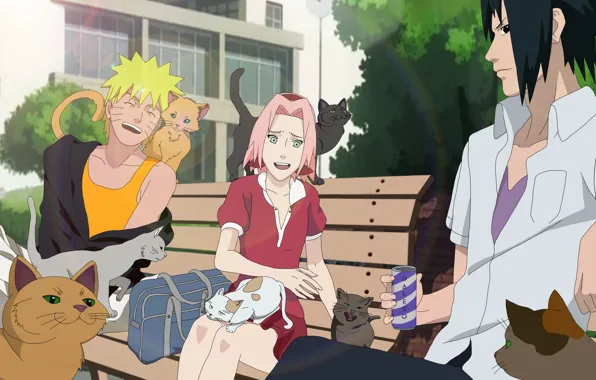 Girl, game, Sasuke, Naruto, Sakura, neko, anime, cat