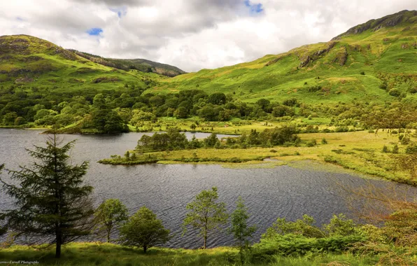 Небо, трава, деревья, горы, озеро