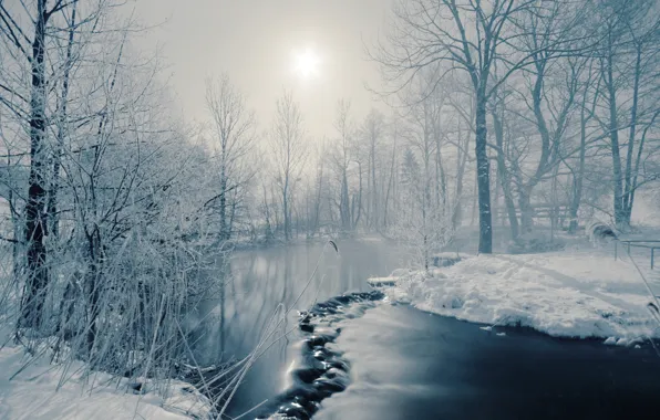 Картинка зима, солнце, деревья, туман, река