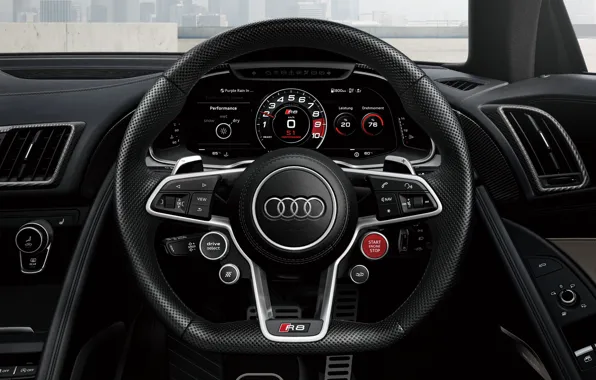 Audi, руль, Coupe, панель приборов, V10, 2023, Audi R8 V10 Coupe, Japan final edition