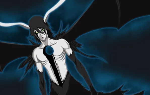 Bleach, Блич, аранкар, Улькиорра Шиффер