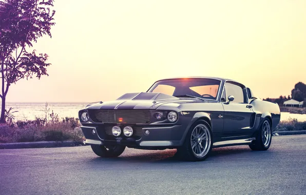 Mustang, ford, shelby, eleanor, gt500e, Giannes Kokkas photography