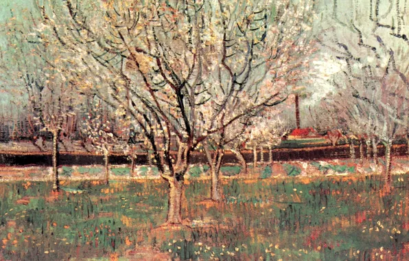 Картинка деревья, цветочки, Винсент ван Гог, Plum Trees, Orchard in Blossom