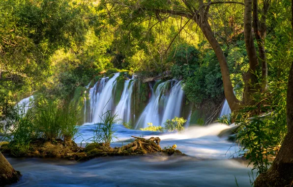 Зелень, вода, деревья, река, водопад, поток, Bosnia and Herzegovina, Kravice Falls