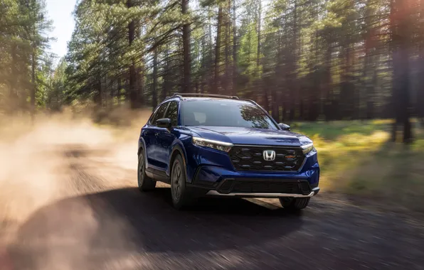Дорога, лес, скорость, внедорожник, Хонда, Hybrid, SUV, Гибрид