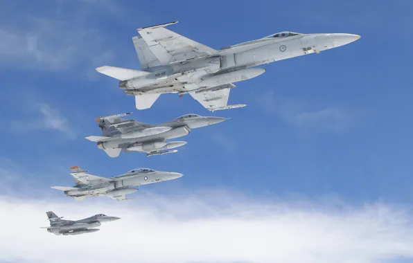 Картинка небо, полет, самолет, самолеты, General Dynamics F-16 Fighting Falcon, McDonnell Douglas F/A-18 Hornet