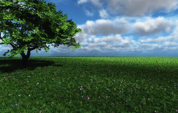 Картинка поле, трава, облака, цветы, дерево, тень, арт, полевые