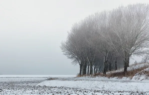 Картинка поле, снег, пейзаж