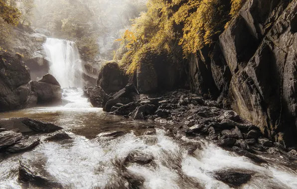 Картинка лес, природа, река, камни, водопад