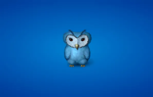 Картинка сова, птица, минимализм, синяя, owl, синеватый фон