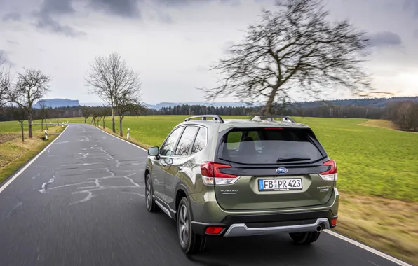 Картинка дорога, Subaru, кроссовер, Forester, 2019