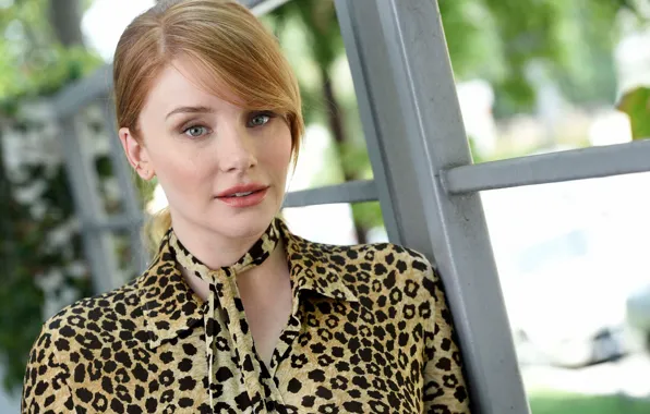 Взгляд, макияж, актриса, hair, Bryce Dallas Howard, Брайс Даллас Ховард