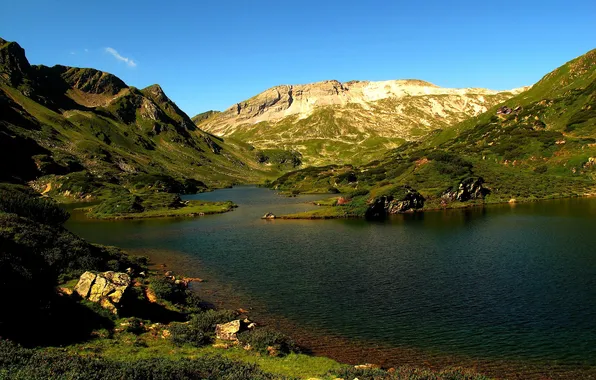 Лес, трава, горы, река, склон, домик