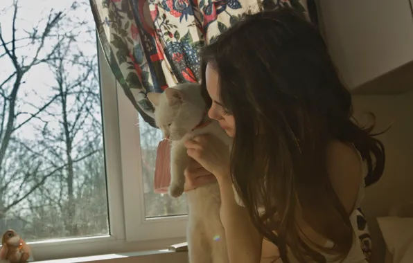 Cat, model, window, hair, brunette, Diana, shirt, young woman