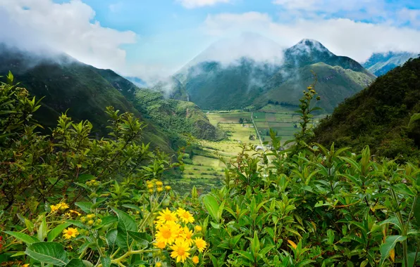 Зелень, облака, горы, поля, долина, кусты, Ecuador, Pululahua